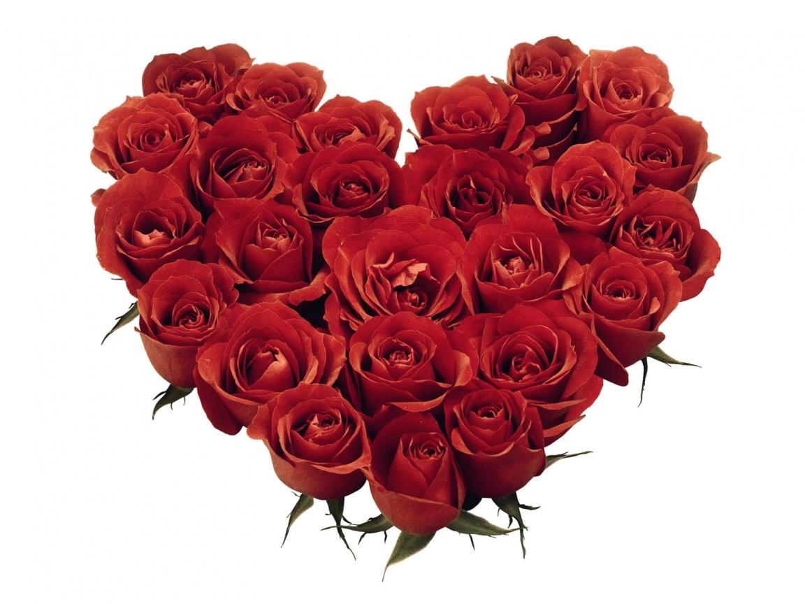 Kata Kata Bijak Mutiara Cinta Ef Be F Ef Be F Ef Bd A Ef Bd A Kata Kata Bijak Mutiara Cinta Ef Be F Ef Be F Ef Bd A Ef Bd A